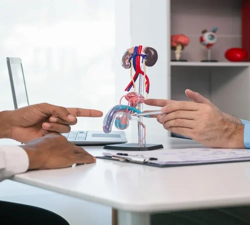 Prostate: A Complete Guide to Health and Prevention